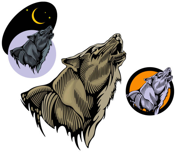 목판화 wolf 일러스트 (벡터 - wolf mascot vector gray wolf stock illustrations