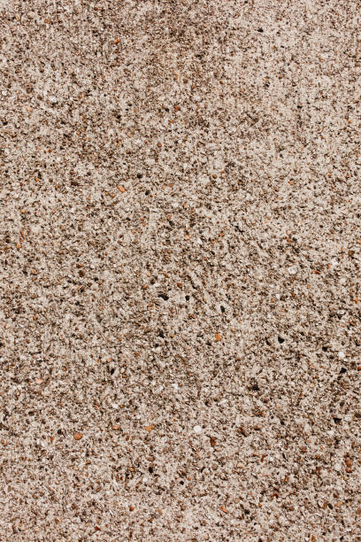 istock Brushed concrete texture. Close up of old rough cement surface. Background and pattern for design and interior. 1648879713
