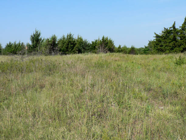 istock Great Plains Nature Center, Wichita, Kansas 1648880155