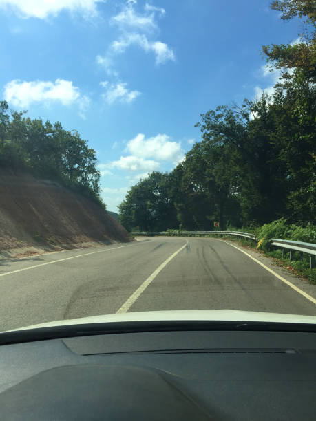 Driving on forest and country road
