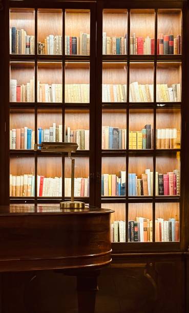 istock Library behind illuminated glass cabinet door 1648897346