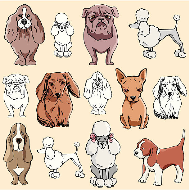 Pet Illustrations XIV: Dogs (Vector) vector art illustration