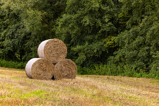 Three bales of straw stacked on each other on an agricultural field in front of green trees in background