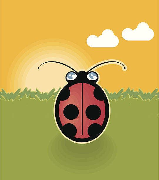 Coccinella - illustrazione arte vettoriale