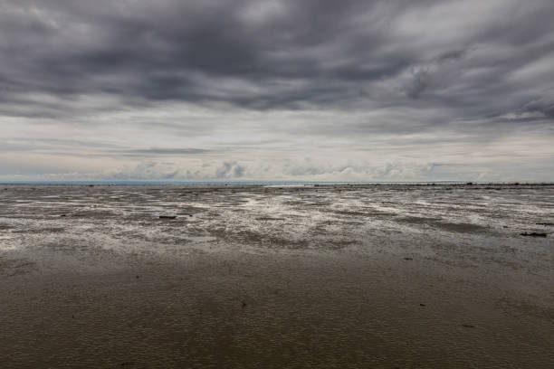 istock St-Lawrence river. Baie Ste-Catherine beach at low tide. 1648914135