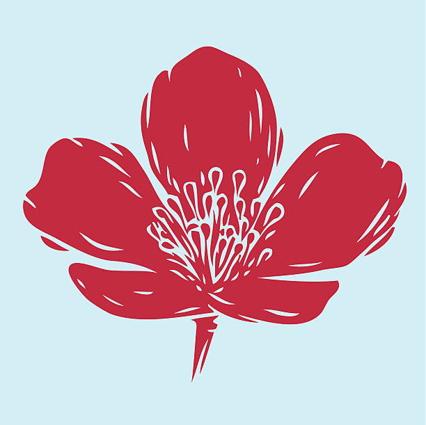 flower vector art illustration