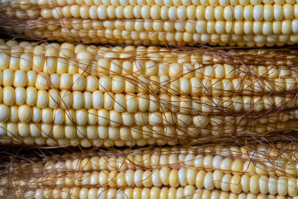 istock Raw sweet corn, top view, close up 1648976219