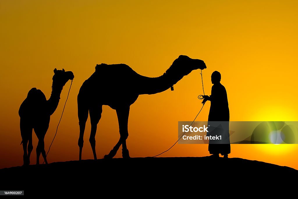 Silhueta de um homem e dois camelos no pôr-do-sol - Foto de stock de Adulto royalty-free