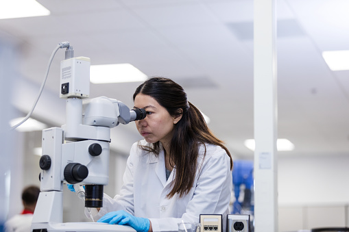 The female scientist uses a microscope to better see a sample while working in the laboratory.
