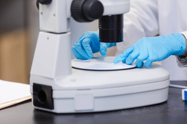 istock Unrecognizable scientist works in the laboratory 1649008212