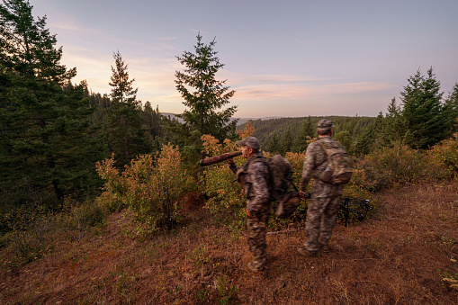 Two middle aged, Caucasian hunters wearing camouflage clothing and backpacks stop their hike to use a bull elk call to track prey while hunting in Washington State.