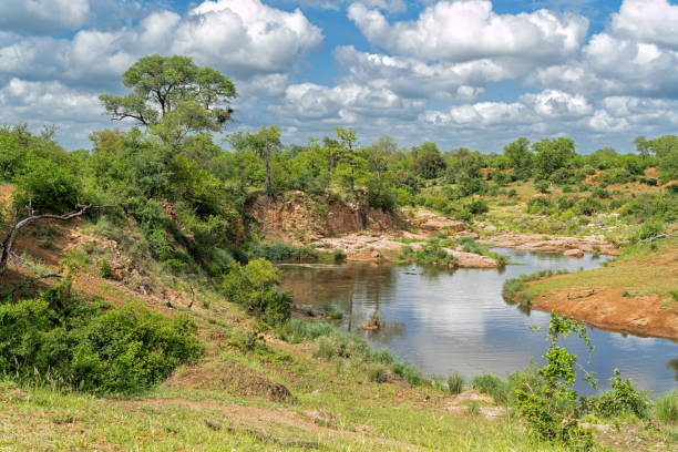 Landscape in Kruger National Park stock photo