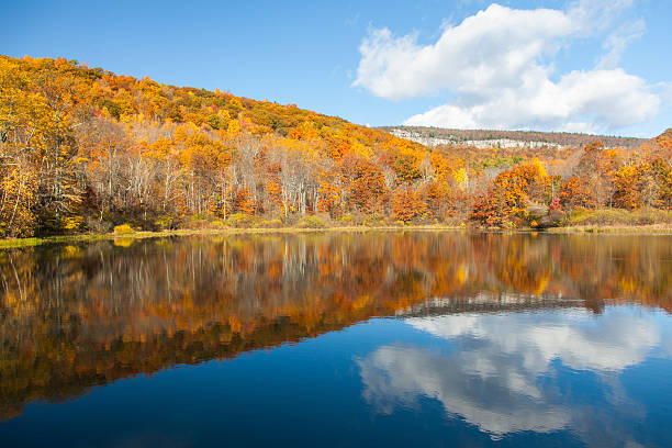 istock Fall Colors in the Hudson Valley - NY 164902617