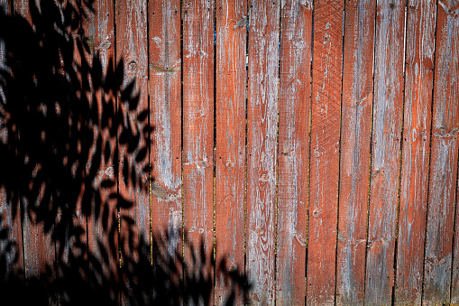 A shadow of a tree on a wooden fence