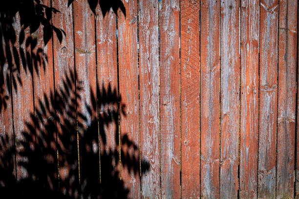 istock A shadow of a tree on a wooden fence 1649043879
