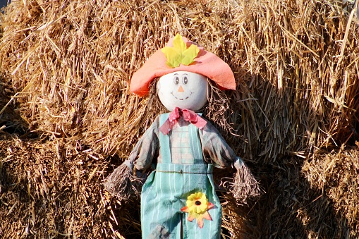 An autumn scene with bales of hay, scarecrows, pumpkins, and gourds.