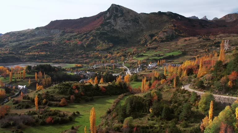 Aerial view with vibrant autumn colors on a sunny day in a mountain valley