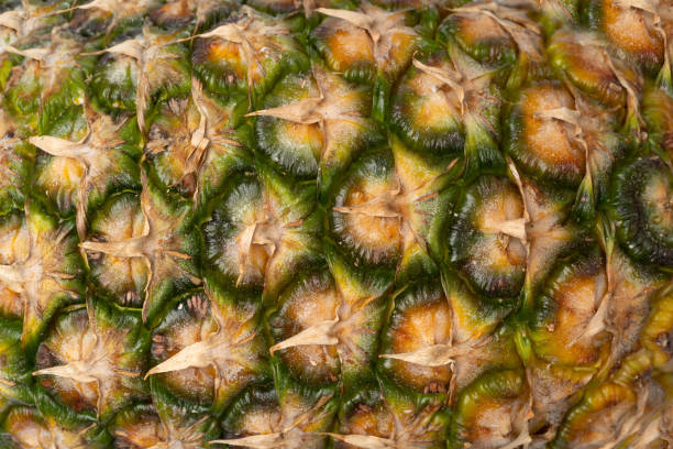 istock Pineapple Skin Texture Background, Ananas Pattern, Comosus Tropical Fruit Banner, Ripe Pine Apple Mockup 1649054658