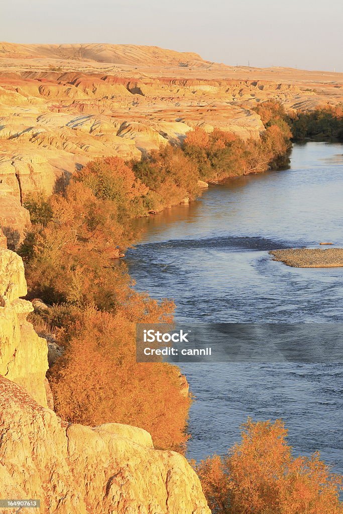 Paisaje de otoño - Foto de stock de Río libre de derechos