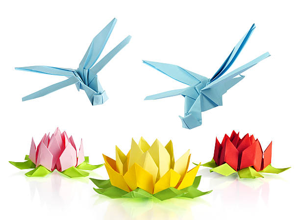 origami et de lotus bleu libellule - water lily pink yellow photos et images de collection