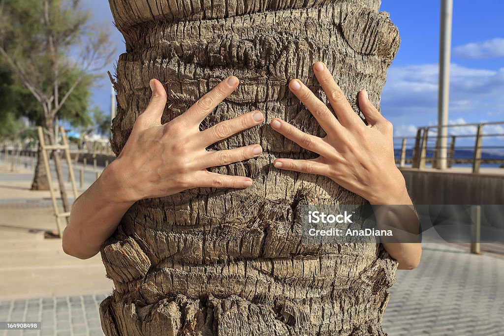 Zwei Armen hältst das tree - Lizenzfrei Fotografie Stock-Foto