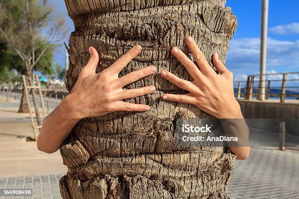Zwei Armen Hältst Das Tree Stockfoto und mehr Bilder von Fotografie - Fotografie, Fürsorglichkeit, Gehweg