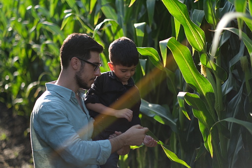 Father and son on corn field