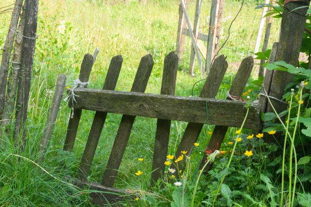 istock Rustic old picket fence and gate in overgrown field 1649116255