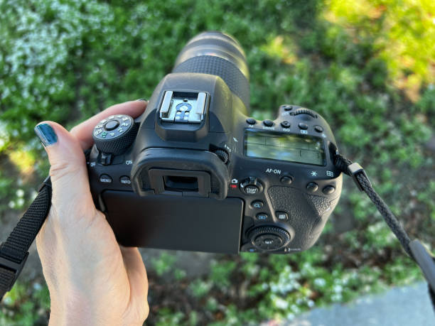 istock Girls hand holding a camera 1649117903