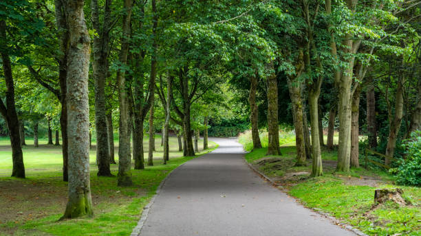 istock Path to walk through the public park with leafy trees next to St. Machar's Cathedral, Aberdeen. 1649130773