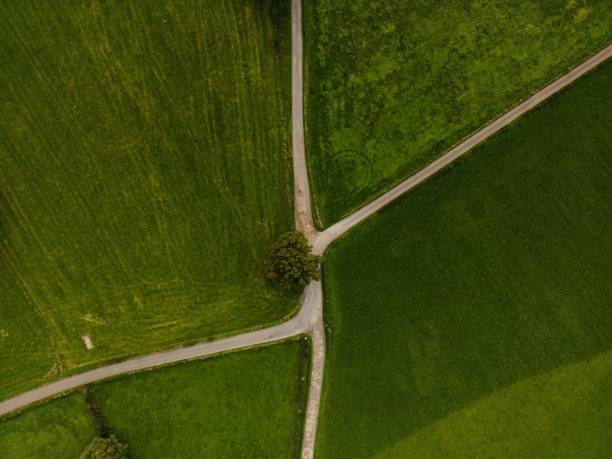 istock a bird - eye view of an intersection in a grass area 1649156450