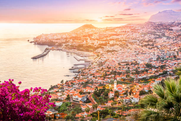 Landscape with Funchal at sunset time, Madeira island Landscape with Funchal at sunset time, Madeira island, Portugal funchal stock pictures, royalty-free photos & images