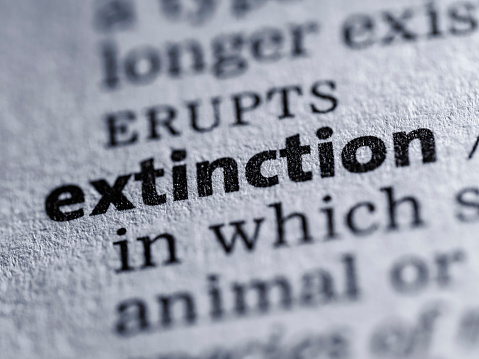 Word written in dictionary, extinction