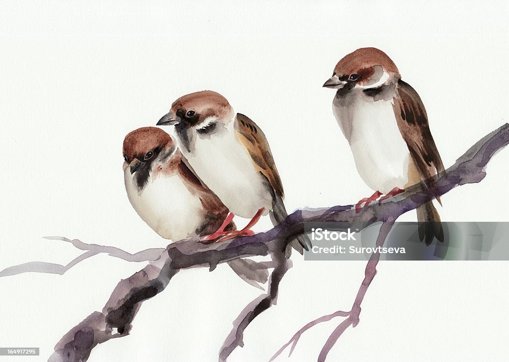 Sparrows - Royalty-free Animal Ilustração de stock
