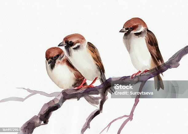 Sparrows - Arte vetorial de stock e mais imagens de Animal - Animal, Animal de Estimação, Ao Ar Livre