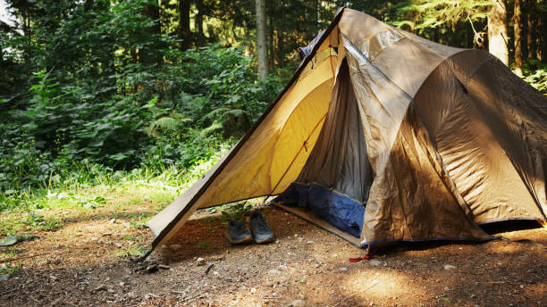 Hiking boots sitting by a tent a sitting in a campsite in a clearing in a lush forest in the summertime