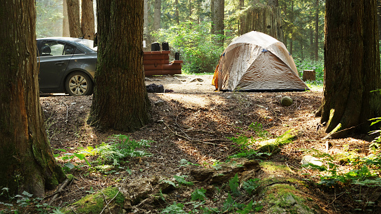 Tent and a car sitting in a campsite in a lush forest clearing in the summertime