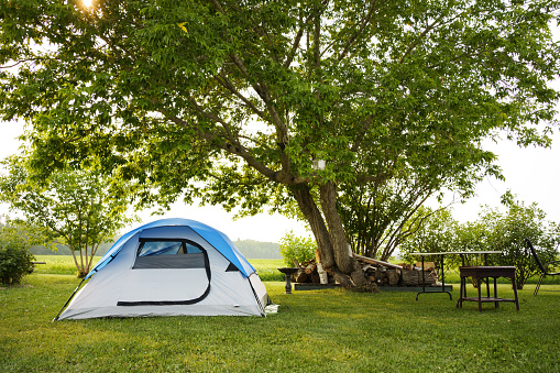 Tent sitting under a large tree next to a picnic table in a large back yard in the summertime