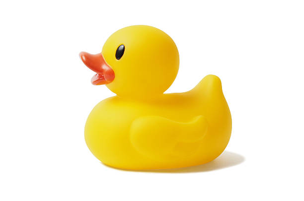 Rubber Duck Yellow rubber duck isolated on white background duck stock pictures, royalty-free photos & images