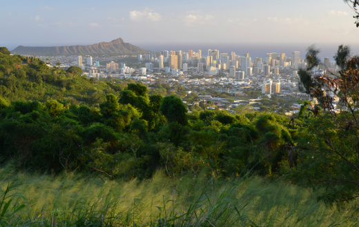 Long exposure picture of Honolulu, Waikiki , Diamond Head Crater and Pacific Ocean taken on extremely windy, February evening with blurred effect to foreground grasses. View from Puuowaina Road above the city.
