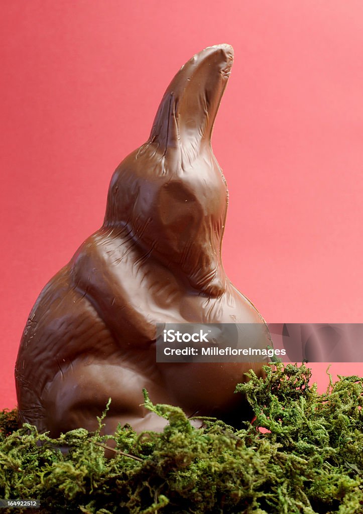 チョコレートイースター卵オーストラリア Bilby Bunny - イースターのロイヤリティフリーストックフォト