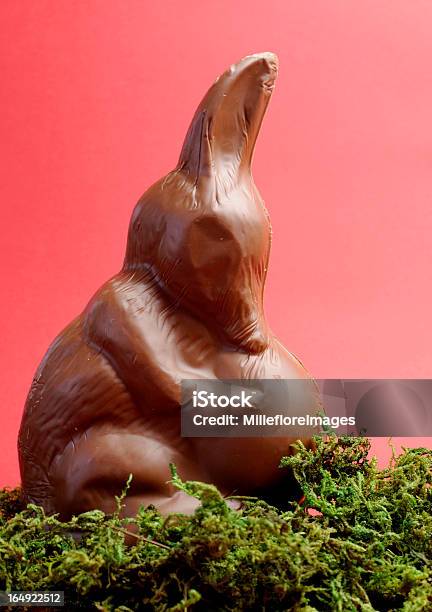 チョコレートイースター卵オーストラリア Bilby Bunny - イースターのストックフォトや画像を多数ご用意 - イースター, オーストラリア文化, Bilby