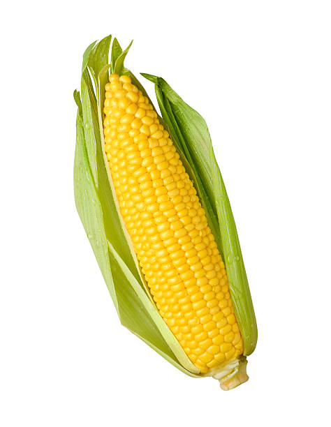 orecchie di mais fresco con un verde cartoccio - corn on the cob immagine foto e immagini stock