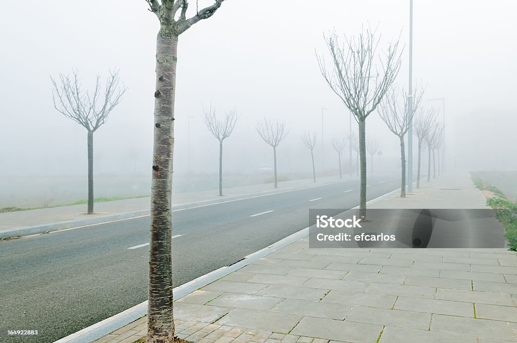 Foggy ulicy - Zbiór zdjęć royalty-free (Architektura)