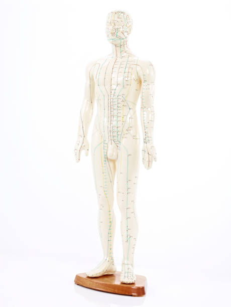 istock medicine doll full-length 164923045
