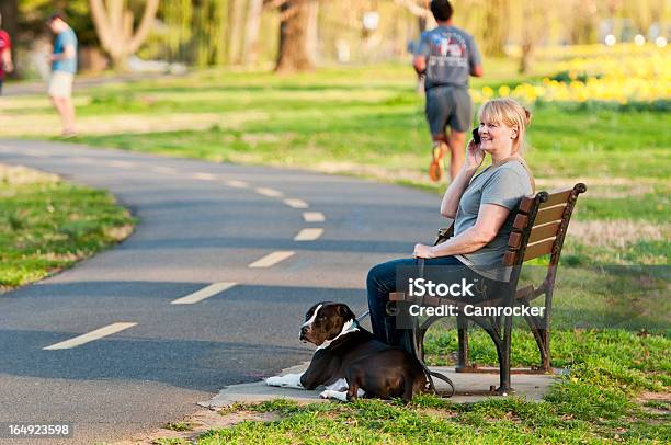 휴대폰 리버사이드 Parkbench 사용 중인 여성 개에 대한 스톡 사진 및 기타 이미지 - 개, 개념, 공원 벤치