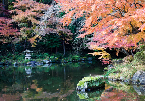 istock Autumn Japanese Garden 164923971