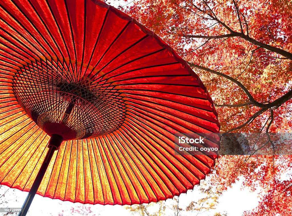 Herbst japanischer Regenschirm - Lizenzfrei Herbst Stock-Foto