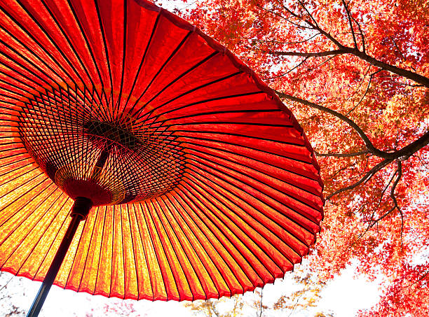 秋日本の傘