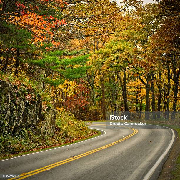 Autumn Scurved Road - S字形のストックフォトや画像を多数ご用意 - S字形, からっぽ, カラフル